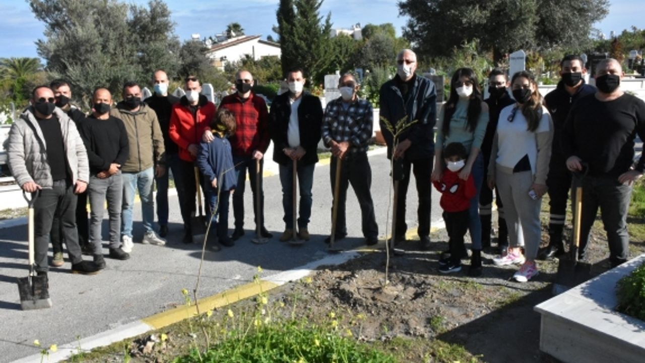 Tree planting work continues uninterruptedly