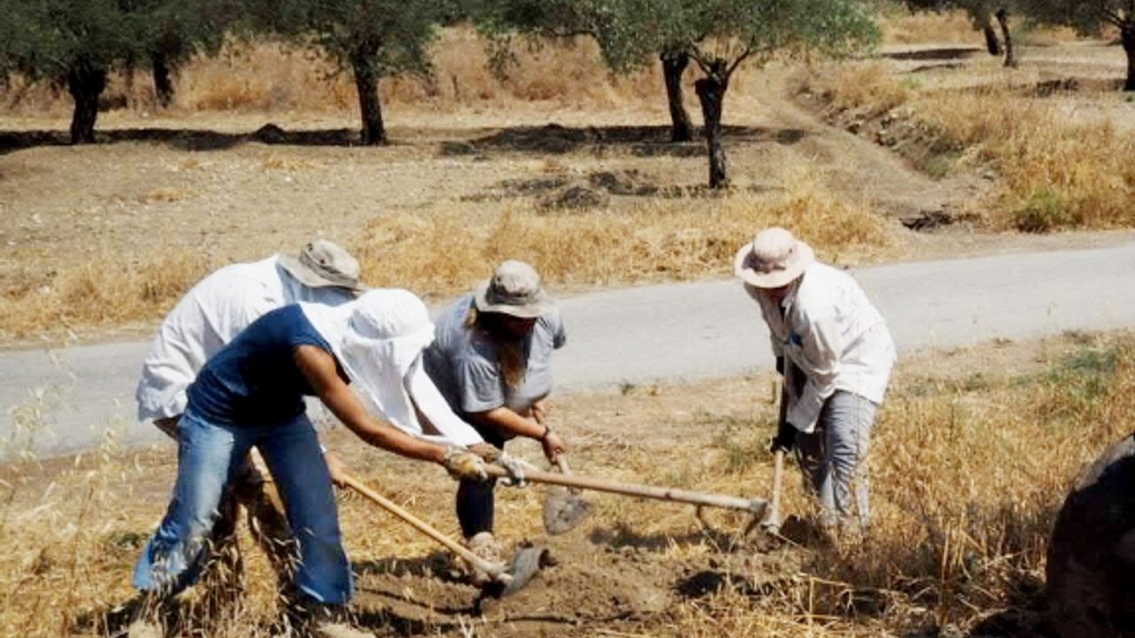 Bellapais'te yeni insan kalıntıları çıktı