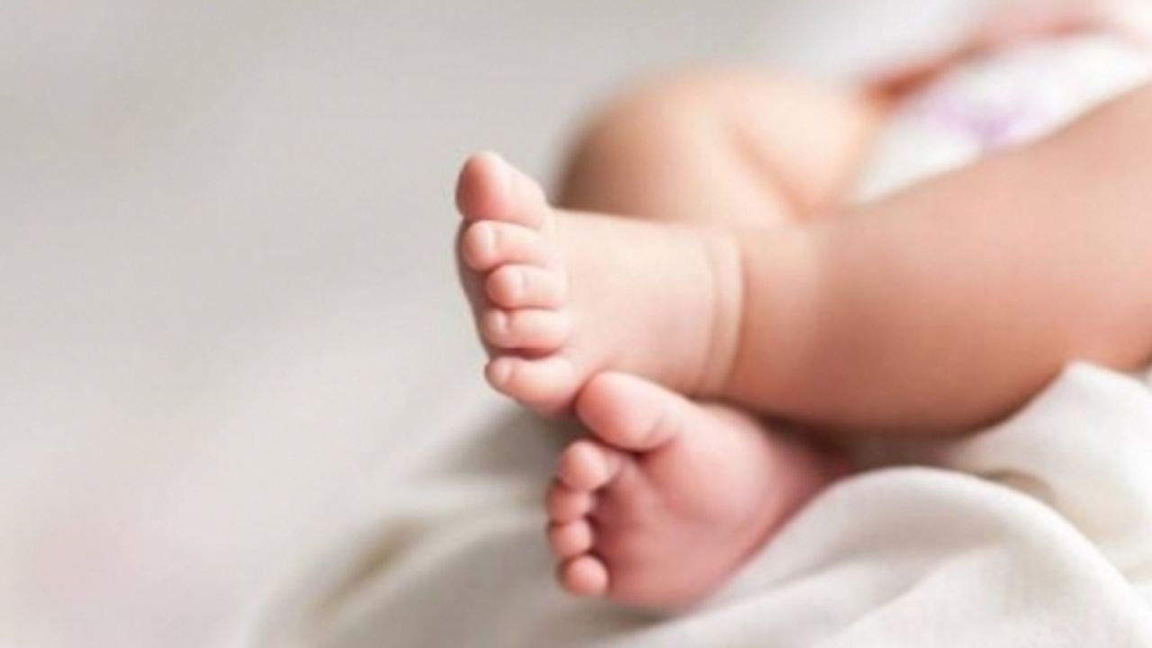 Türkiye'de 1 milyon112 bin 859 bebek doğdu