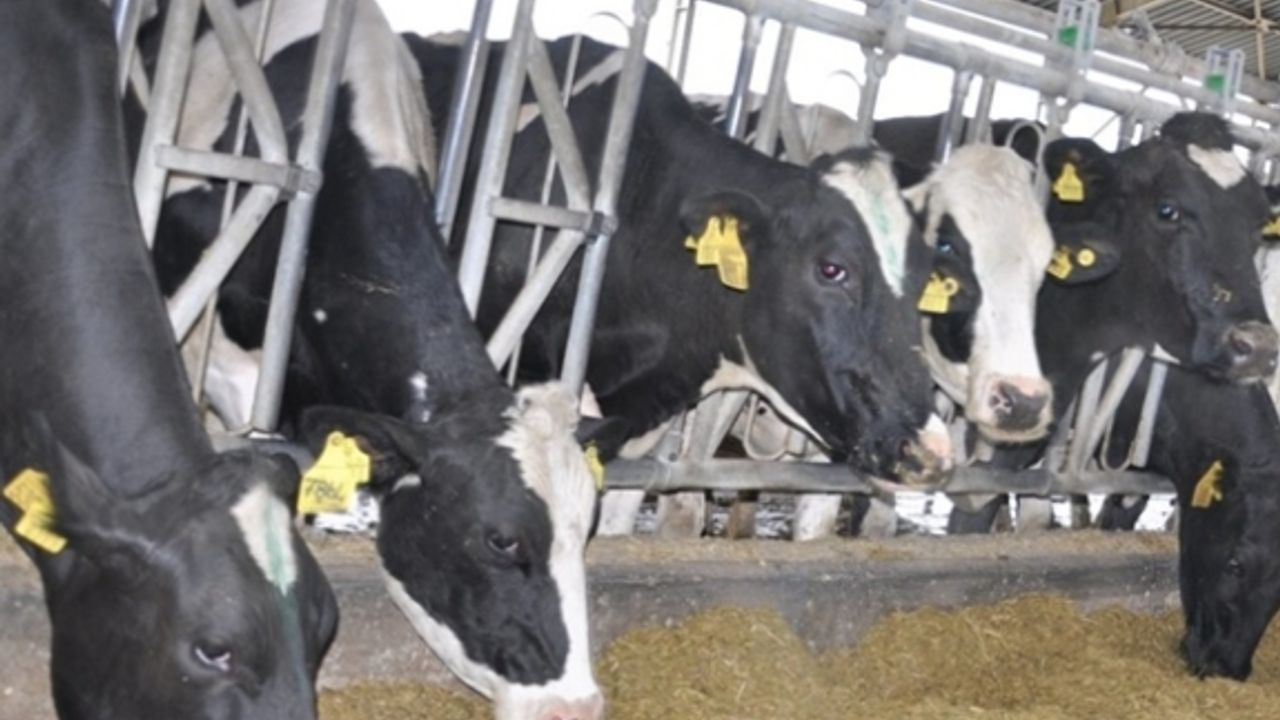 Tarım Bakanlığı'ndan soğuk zincir hibesi