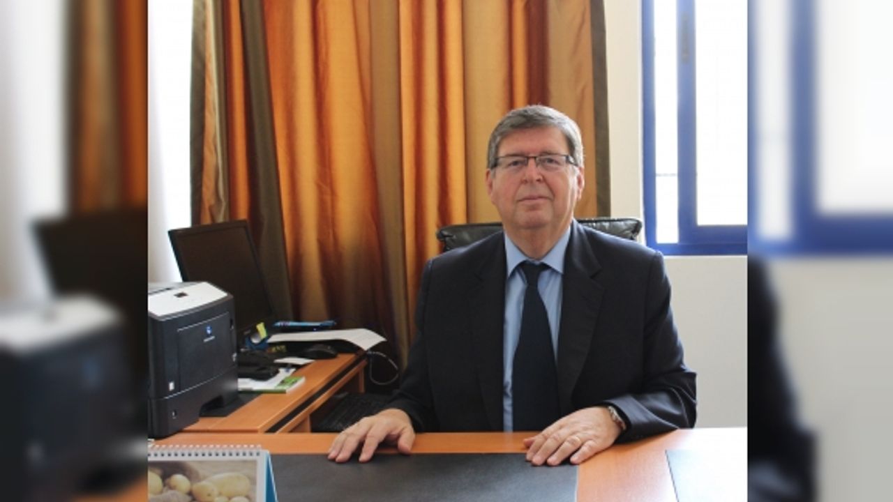 Hibrit tohum özellikle seralarda tercih ediliyor