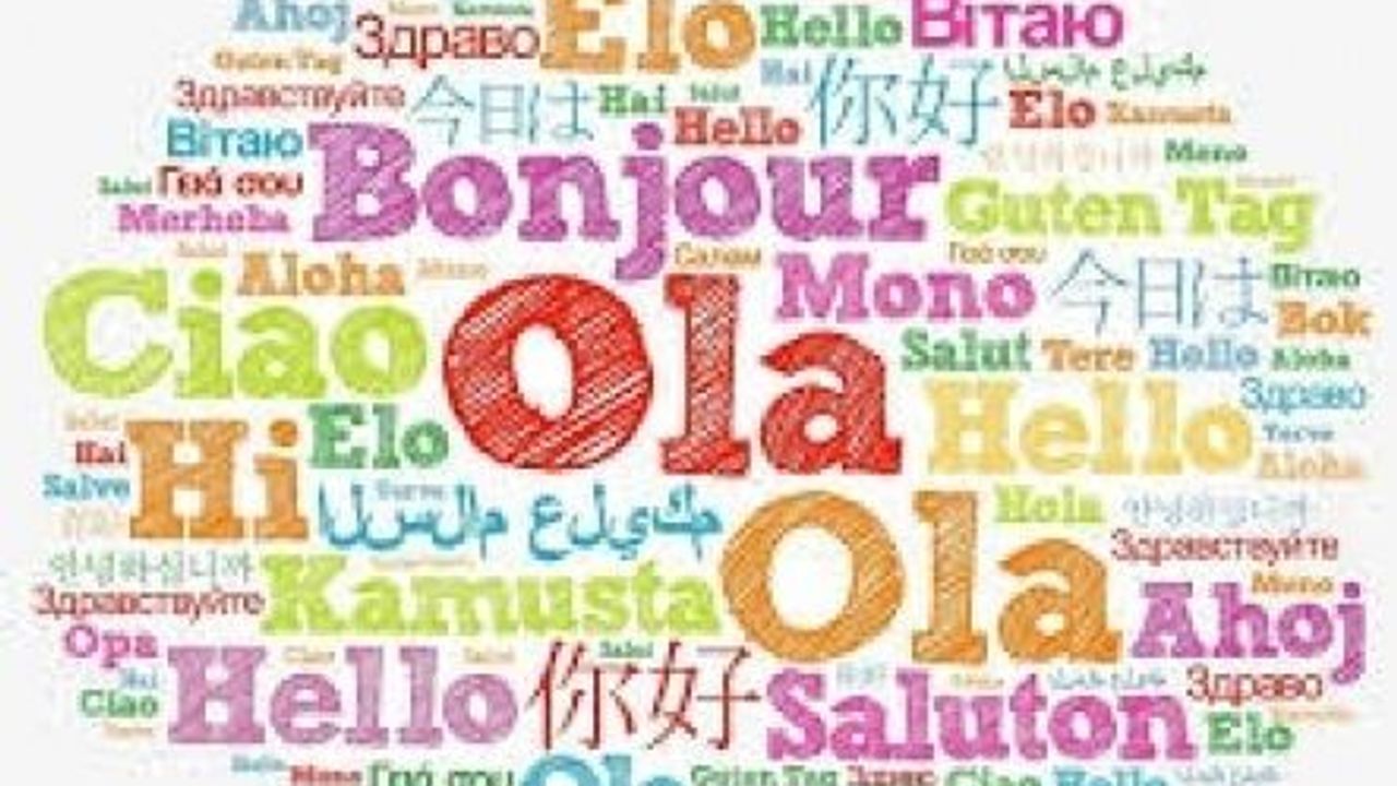 Dil Alanında Destek Projesi devam ediyor