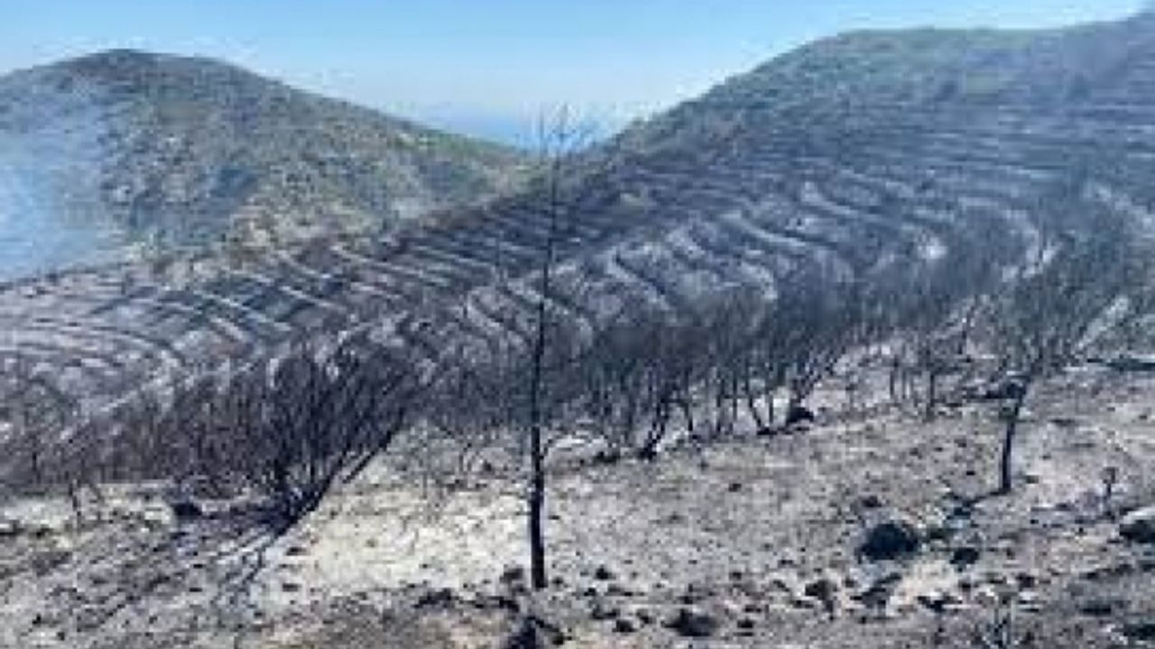 Cumhurbaşkanı Tatar: 12 Bin Dönüm Yandı