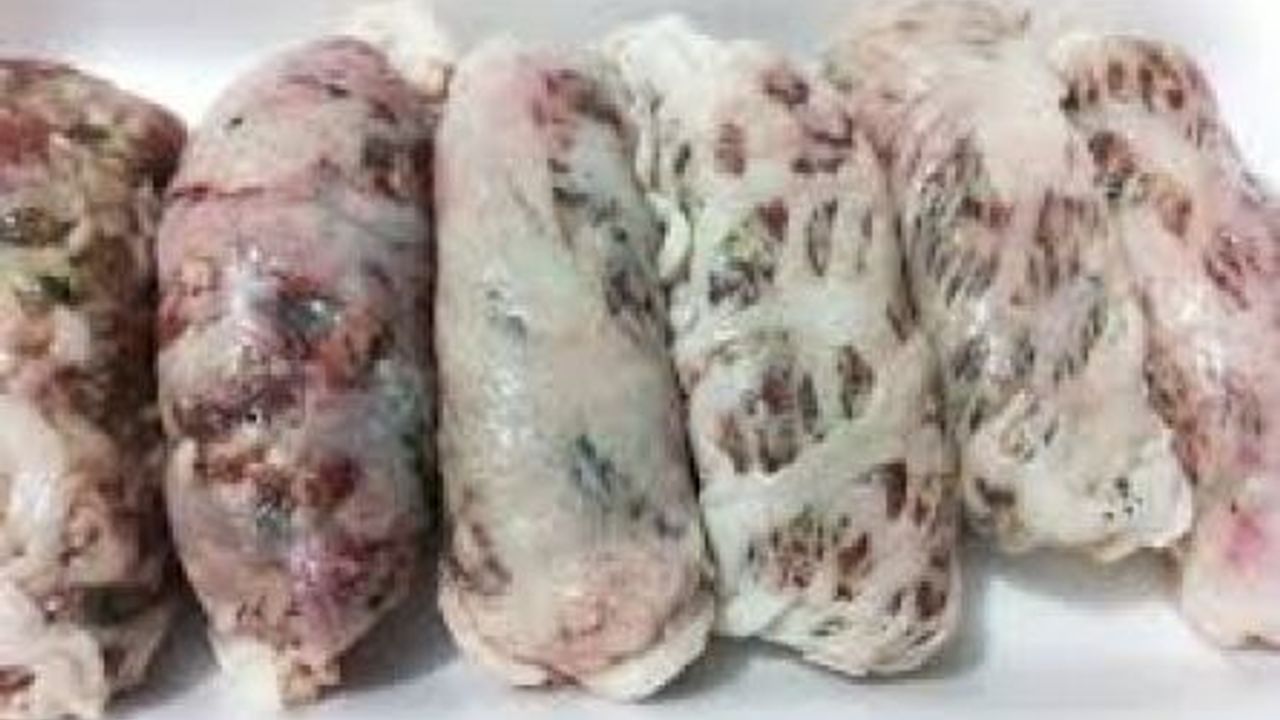 Güney'de salmonella Bakterisi Tespit Edilen Donmuş Şeftali Kebabı ve Tavuk Burgerler Toplatıldı