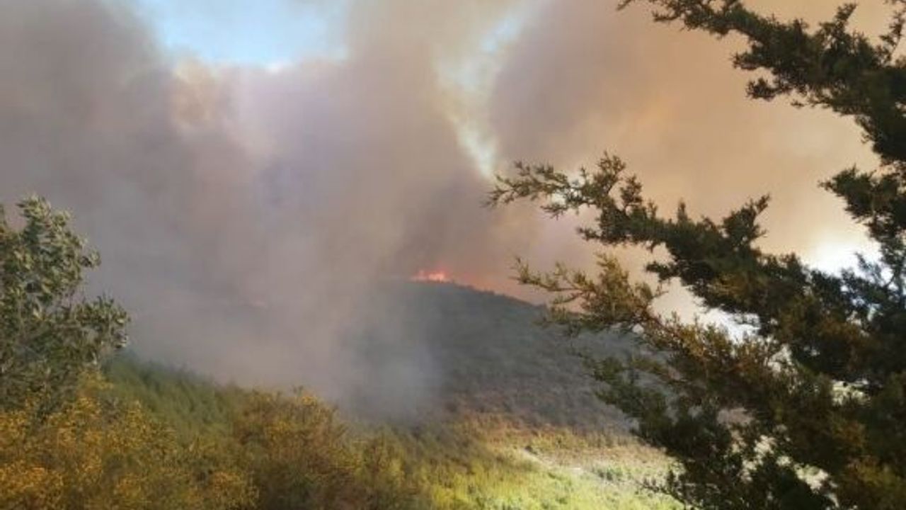 Mersinlik Bölgesindeki Yangın Yeniden Şiddetini Artırdı