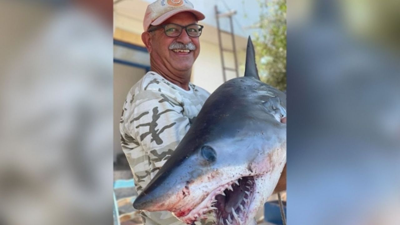 Yedidalga'da Denizlerin Ferrarisi Olarakta Bilinen Mako (Isurus ) Köpek Balığı Yakalandı