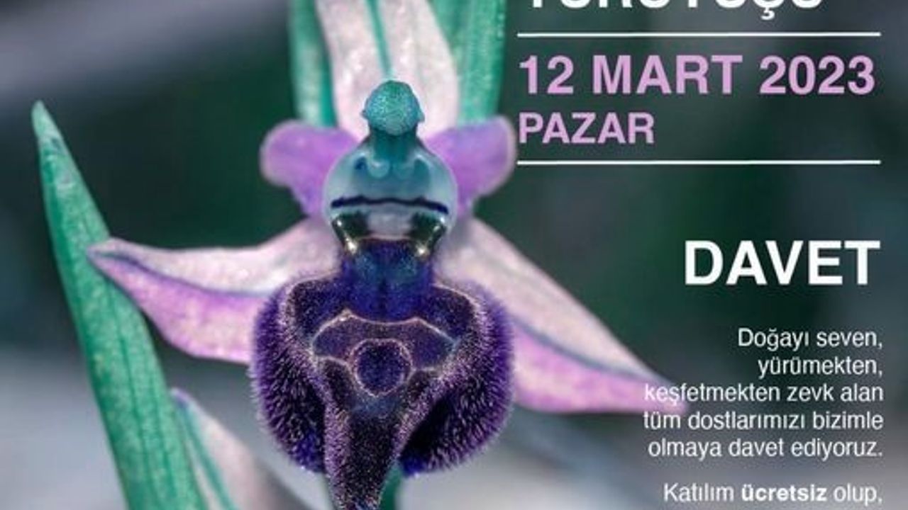 “Orkide Vadisi Gözlem Yürüyüşü” bu pazar yapılıyor