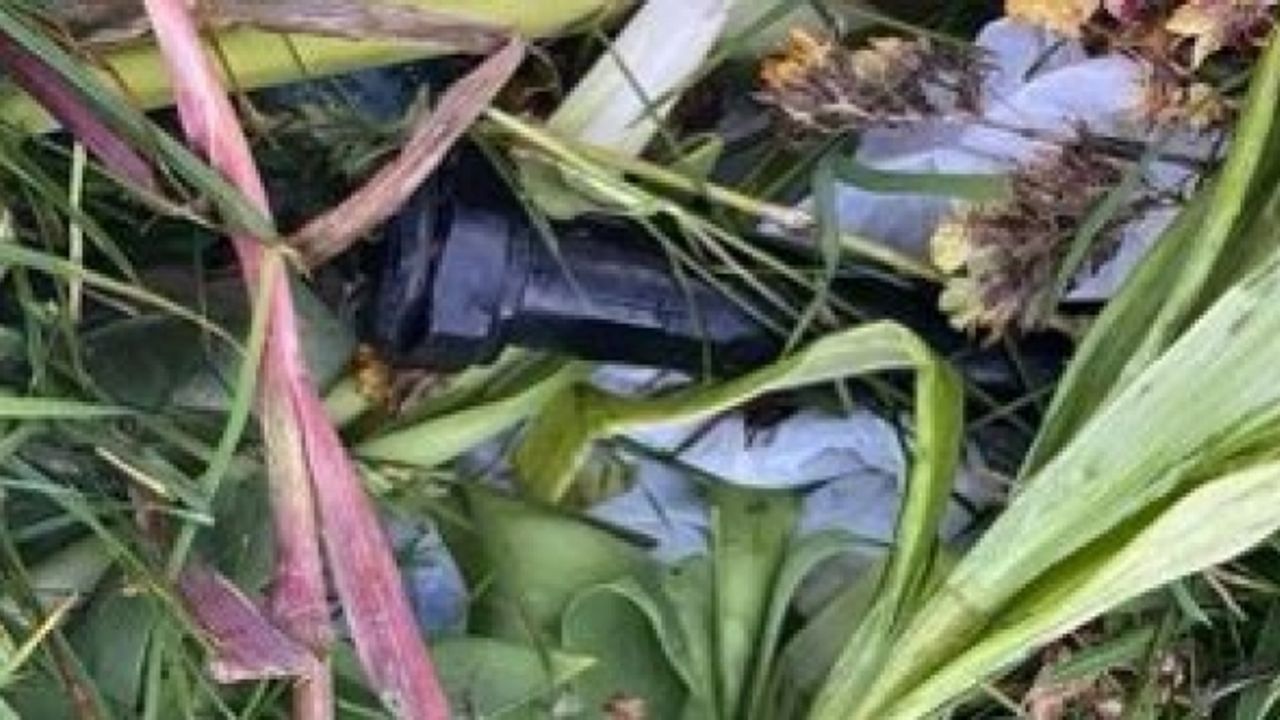 Kuzey İrlanda'nın Londonderry mezarlığında 4 el yapımı bomba bulundu