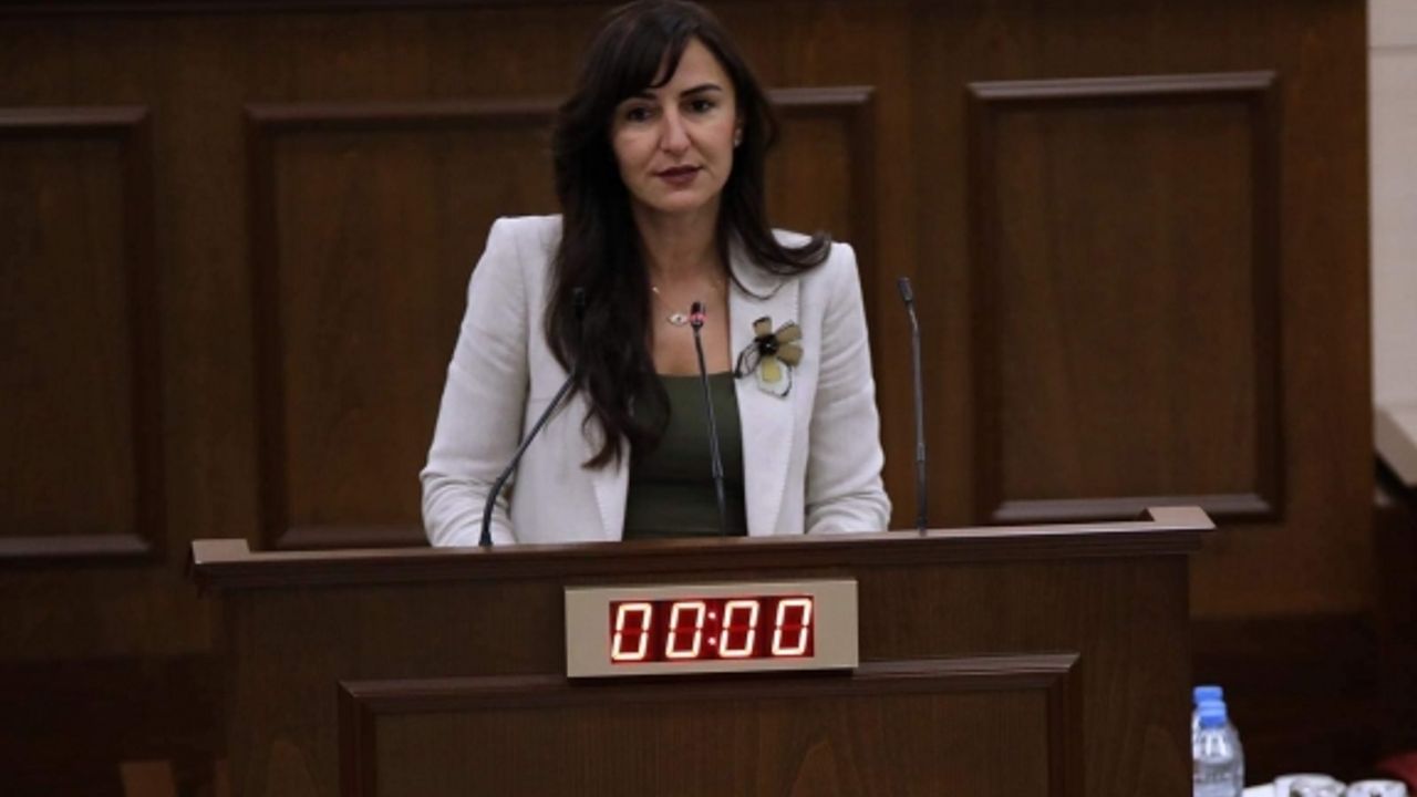 Rogers: “Ülkemiz sosyal bir devlet olmaktan daha çok uzaklaşmaktadır”