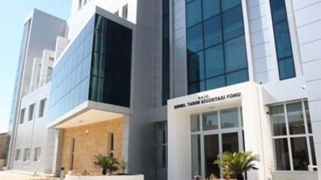 Cyprufex’e limon veren üreticilere destek ödemeleri cuma günü yapılacak