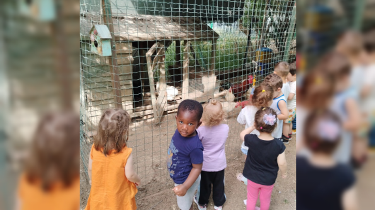 Tohum Kids Kreş ve Anaokulu: Doğayla İç İçe Eğitim