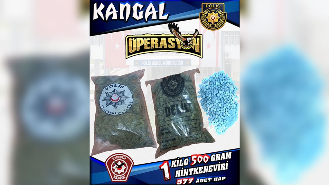 Polisten 'Kangal Operasyonu': Lokmacı'da 1,5 kilo hintkeneviri, hap ve toz madde ele geçirildi
