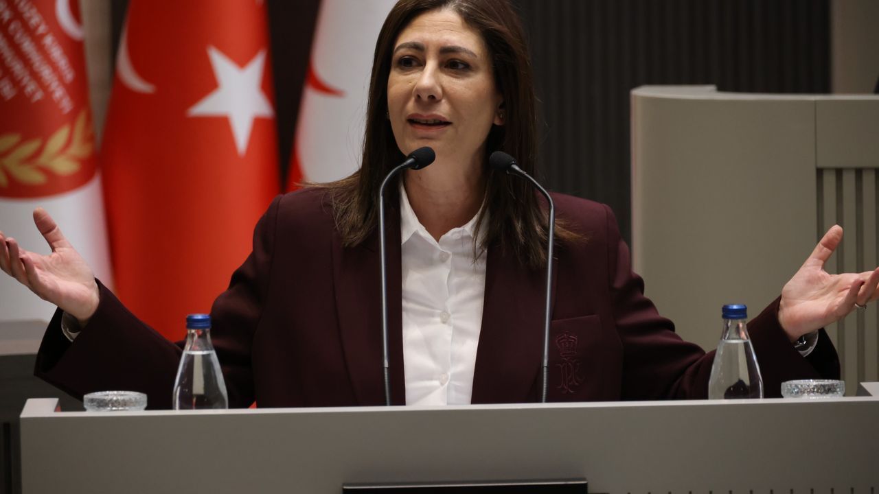 İncirli, Meclis'te hükümete çağrıda bulundu: 'Protokolü geri çekin, yeniden değerlendirilsin'