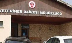 Veteriner Dairesi’nden hayvan kesimi ile ilgili uyarı