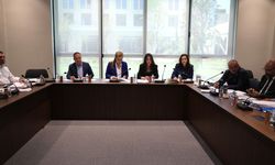 Ekonomi, Maliye, Bütçe ve Plan Komitesi bugün sigorta yasa tasarılarını görüştü
