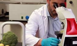 Haftalık gıda denetim sonuçları…