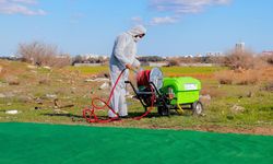 Gazimağusa Belediyesi'nden şap hastalığına yönelik önlemler