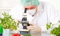 Haftalık gıda denetim sonuçları açıklandı:Yerli ürünlerde limit üstü bitki koruma ürünü içeren dört numuneye rastlandı