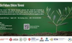 Kıbrıs Vakıflar İdaresi yarın Esentepe'de zeytin fidanı dikecek