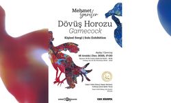 Mehmet Sariler'in 'Dövüş Horozu' isimli kişisel sergisi 16 Aralık'ta...