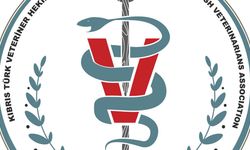 Veterinerlerden şap açıklaması