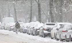 Avrupa dondurucu soğuklara teslim
