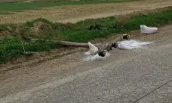 Gürpınar ve Yılmazköy'de trafik kazası nedeniyle elektrik kesintisi!