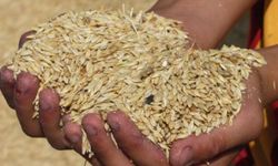 4 bin 500 ton arpanın yarın sabah Gazimağusa Limanı'na ulaşması bekleniyor