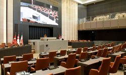 Genel Kurul denetim göreviyle toplanacak