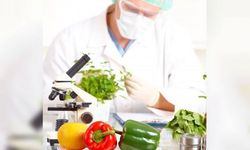 Gıda denetimleri: Armut, elma ve çilekte limit üstü, salatalıkta tavsiye dışı bitki koruma ürünü