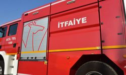 Üç ayrı yerde çıkan yangın hasara yol açtı