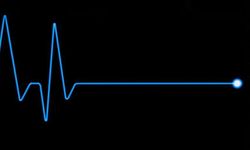 Abumustafa'nın ölüm sebebini ileri tetkikler belirleyecek