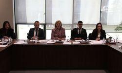 Ekonomi, Maliye, Bütçe ve Plan Komitesi motorlu araçlar ve pasaportlarla ilgili yasa değişikliklerini onayladı