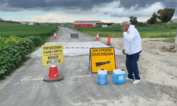 Güney Kıbrıs'ta şap 49 çiftliğe yayıldı: 28 bini aşkın hayvan itlaf edildi