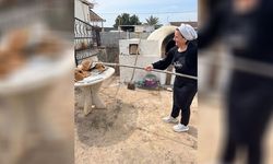 KÖDER'in Narin Hulusioğlu belgeseli Sanayi Odası'nda gösterilecek