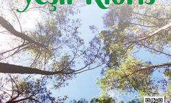 'Yeniden Yeşil Kıbrıs' projesi yarın Cumhurbaşkanlığı'nda düzenlenecek etkinlikle tanıtılacak