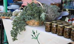 13. Yiğitler Gafgarıt Festivali yapıldı