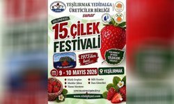 15'inci Geleneksel Çilek Festivali 9-10 Mayıs tarihlerinde yapılacak