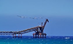 'Çevre sorunları ertelenemez bir noktaya ulaştı.'