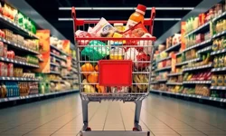 Hanehalkı Bütçe Anketi başlıyor: Tüketici Fiyat Endeksi Sepeti güncellenecek