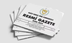 Hükümetin hayat pahalılığı düzenlemesini içeren yasa gücünde kararname geri çekildi