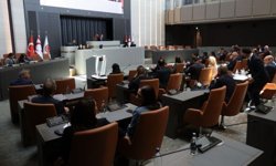Meclis denetim göreviyle toplanacak