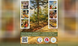 Onkoloji hastalarına destek amaçlı 'Walk For Hope' etkinliği yarın Girne'de yapılacak