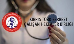 Serbest Çalışan Hekimler: 'İş Yeri Hekimliği Tüzüğü yürürlüğe konulmalı'