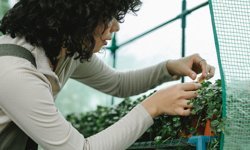 Tarım-Gıda alanında Kadınları Güçlendirme (EWA) Grow 2026 programı için başvurular başladı