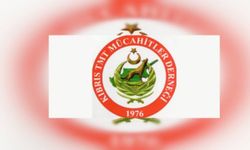 TMT Gençlik Kolları, Yiğitler Burcundaki sivillere yapılan saldırıyı kınadı