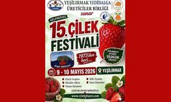 '15. Çilek Festivali' hafta sonu yapılıyor