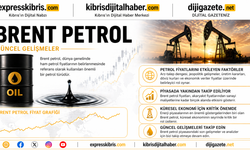 Brent petrolün varil fiyatı 113,76 dolar
