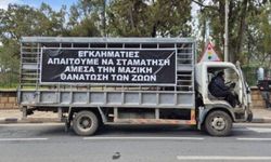 Güney Kıbrıs'ta Hayvancılar eyleme hazırlanıyor