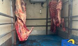 Hamitköy'de sağlıksız koşullarda, kaçak kesilen etler imha edildi